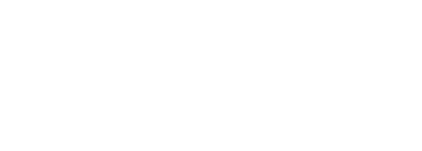 Logo-30A-FAH-EXE_30A-simple-blanc Logo blanc 30 ans du FAH